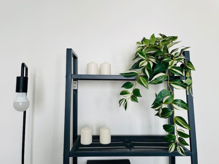 Charming & Cocooning Flat - Canal De L'Ourq Pantin Extérieur photo